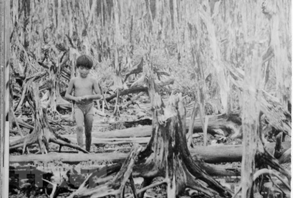 60 năm thảm họa da cam ở Việt Nam: Cuộc chiến thảm khốc