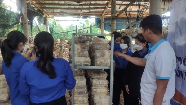 Xây dựng kinh tế tập thể của thanh niên trong sản xuất nông nghiệp của huyện Đại Lộc